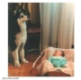 Cani e neonati: regole per una buona convivenza